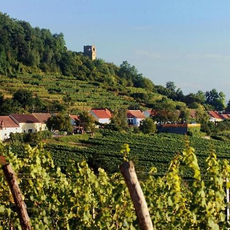 Апартаменты Prabatsch-Aichinger Winzergut Лангенлойс Экстерьер фото
