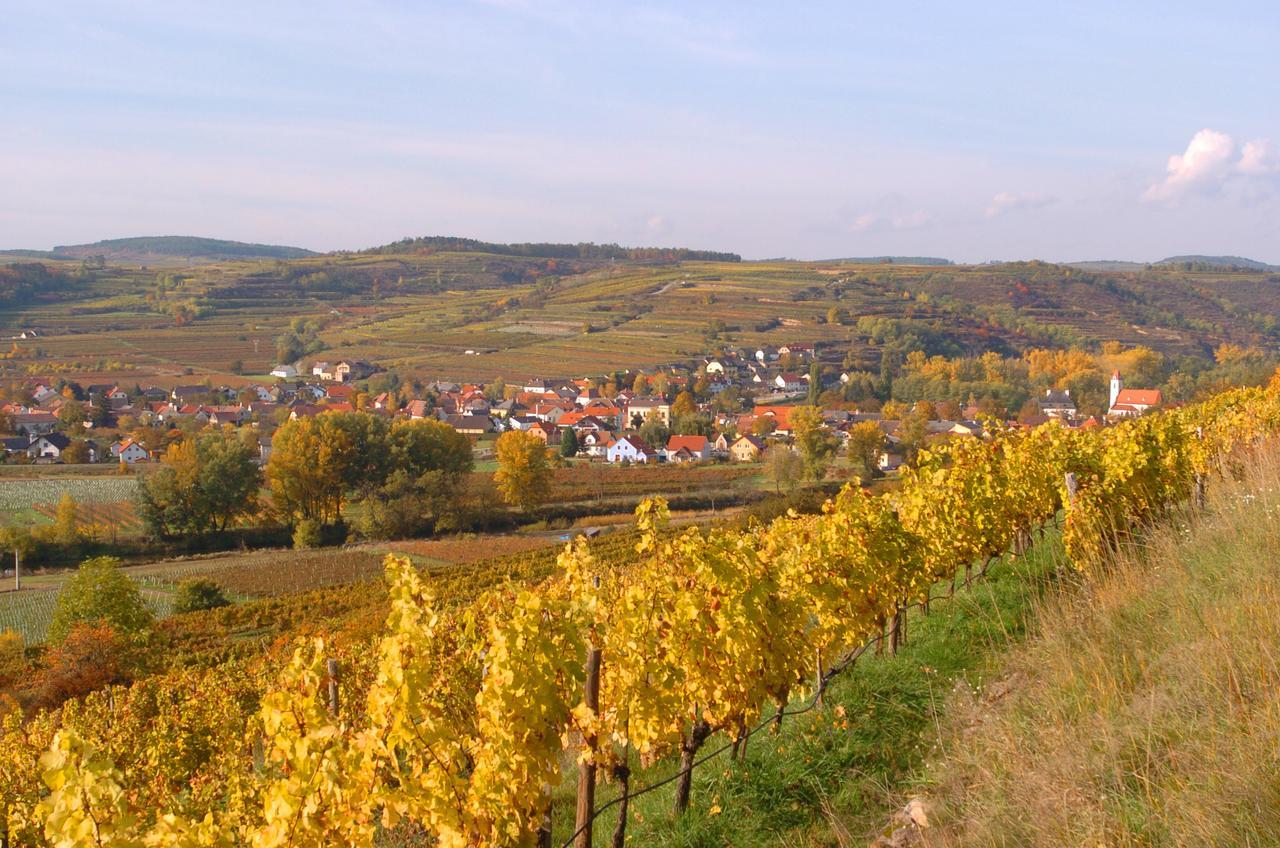 Апартаменты Prabatsch-Aichinger Winzergut Лангенлойс Экстерьер фото